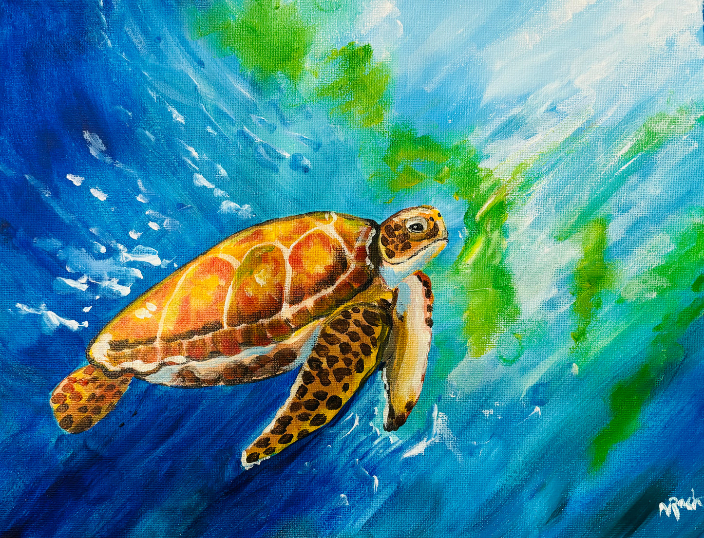 "Sea Turtle"