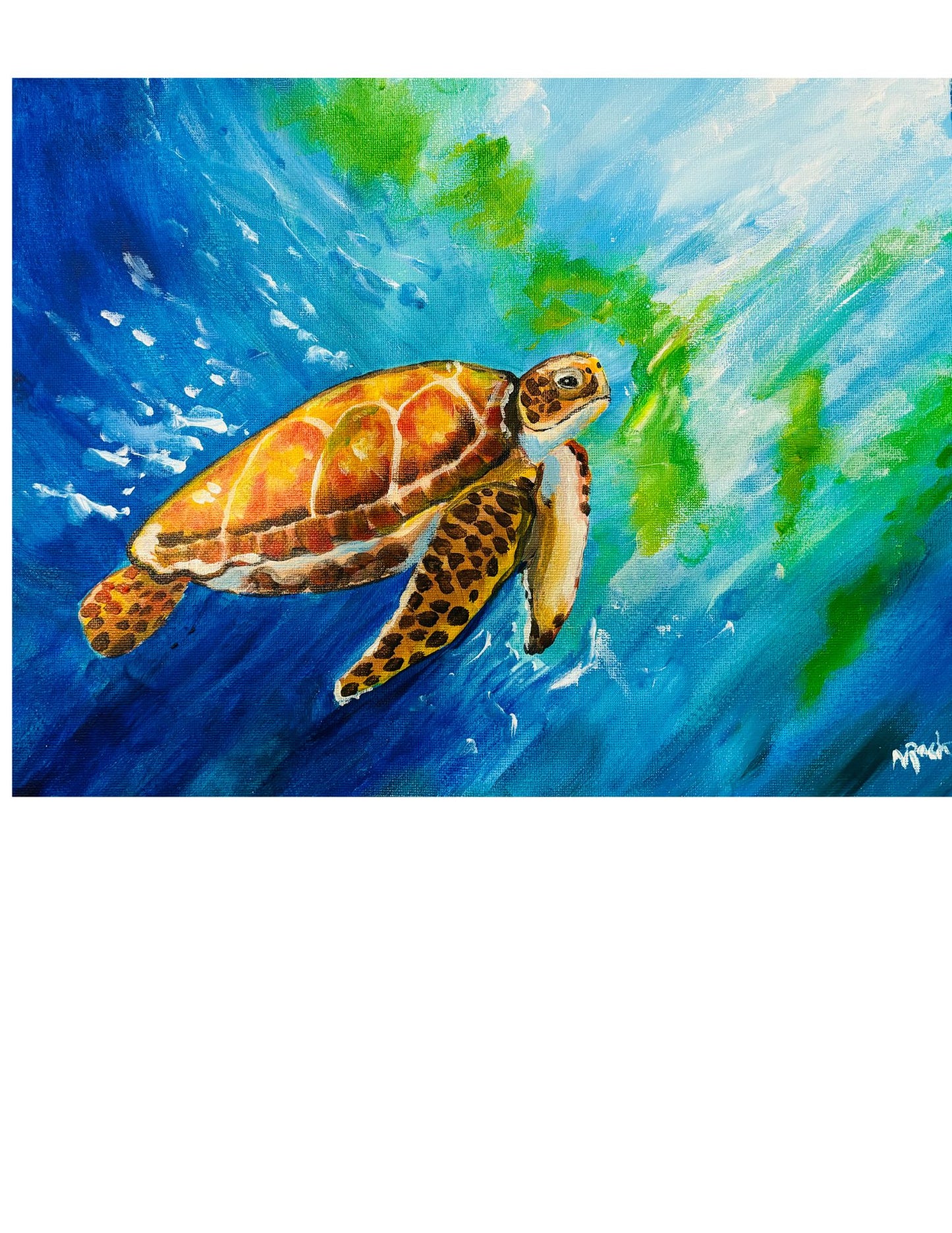 Sentara Leadership Workshop, Sea Turtle Paint Party Wednesday July 29 at 1pm at Albemarle Food Bank